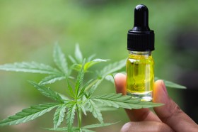 Cannitex Forte
